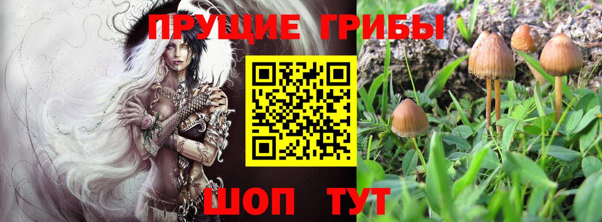 ГЕРОИН Лянтор