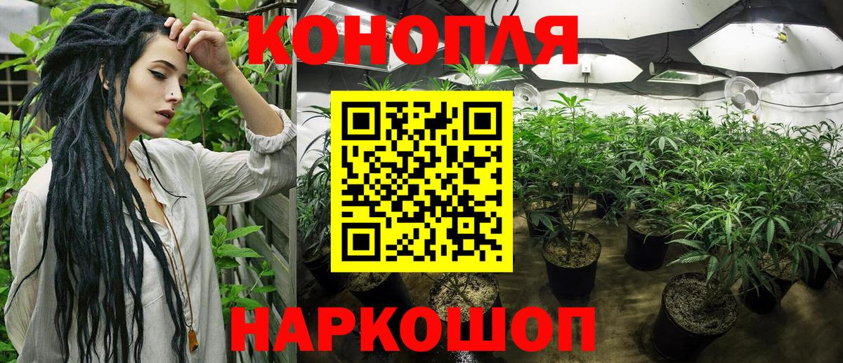 Бошки Шишки сатива  Каннабис SATIVA & INDICA  Вход с VPN  Лянтор 